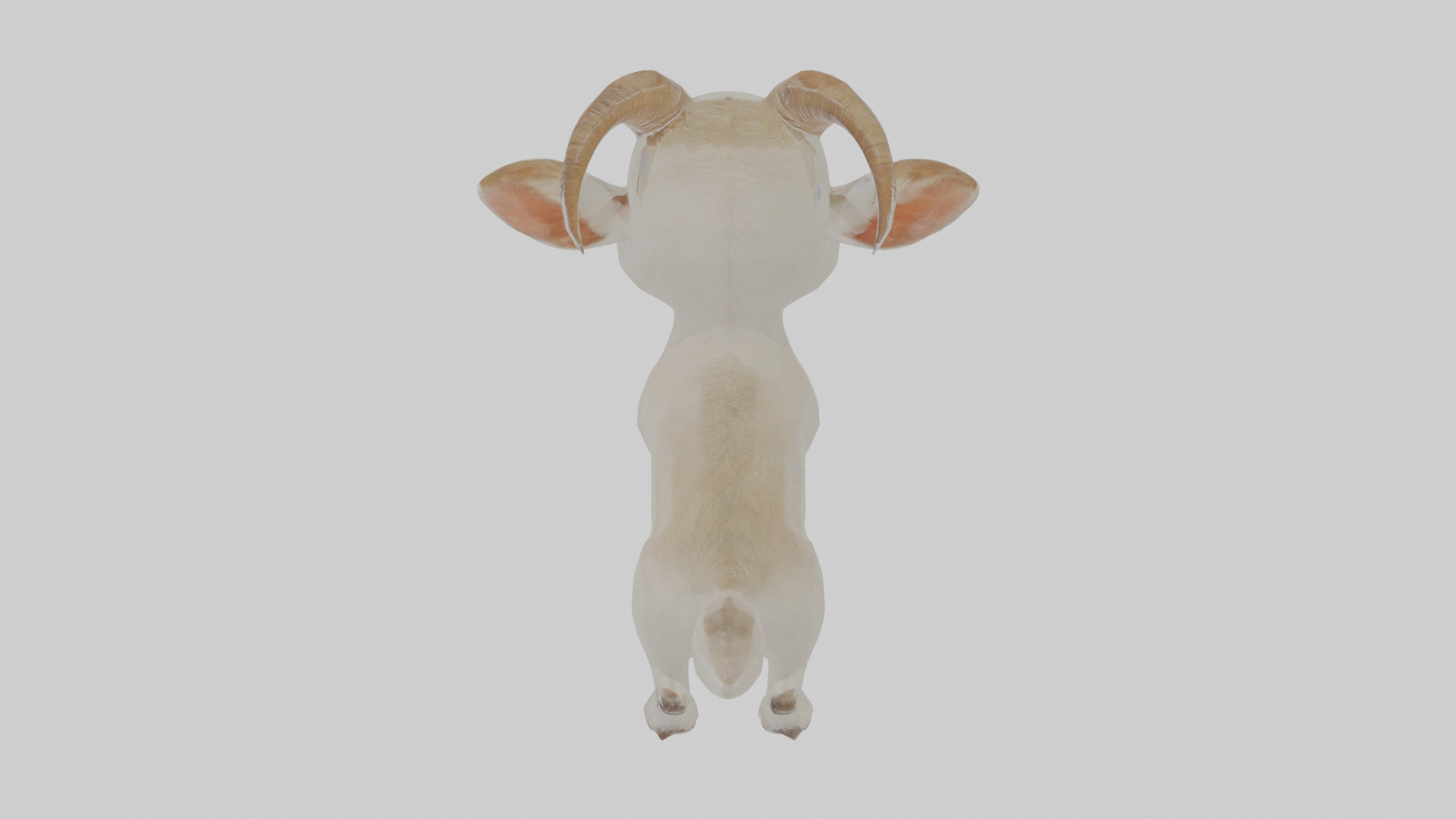 Cartoon Goat Low-poly 3D model_21