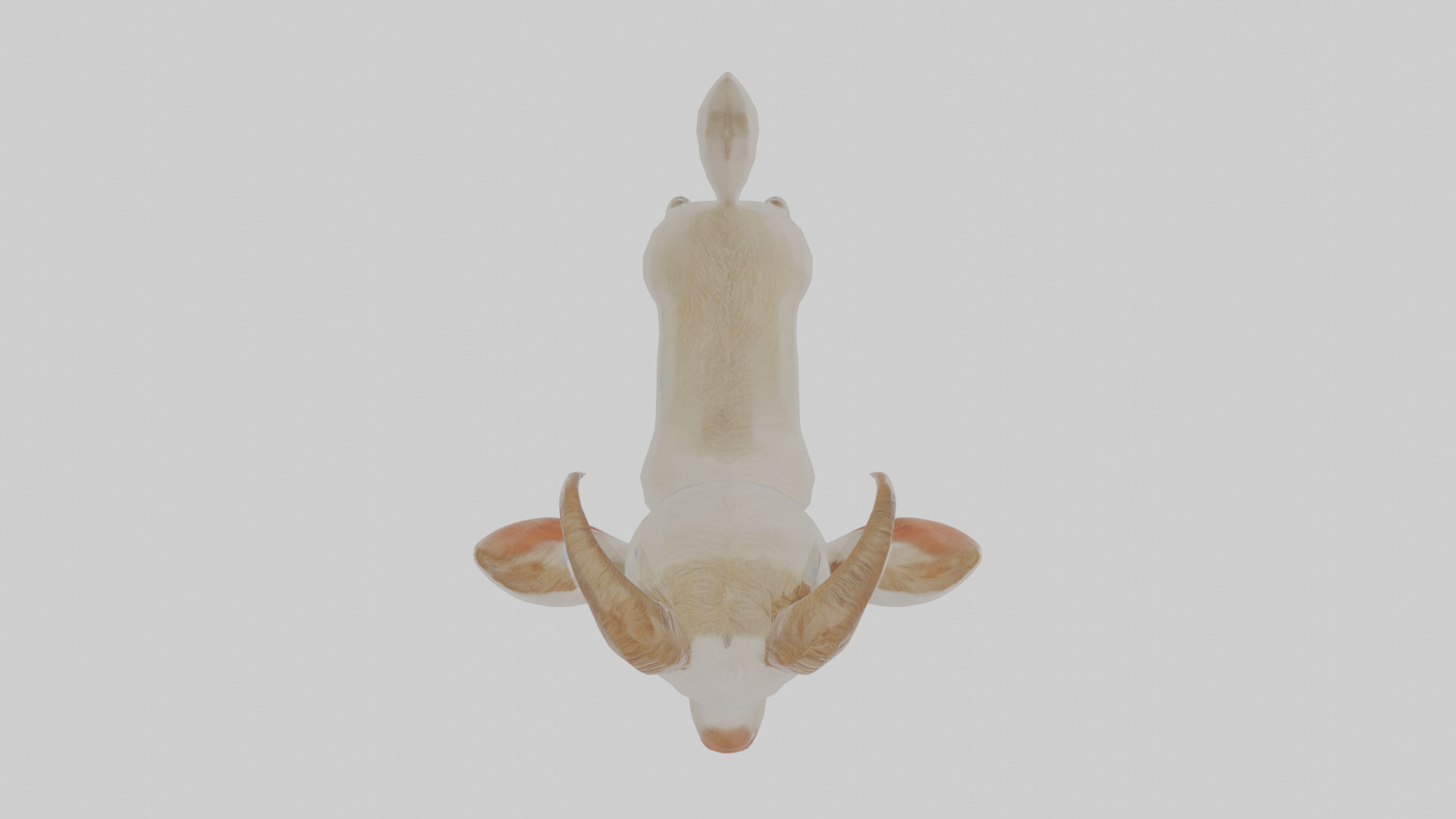 Cartoon Goat Low-poly 3D model_20