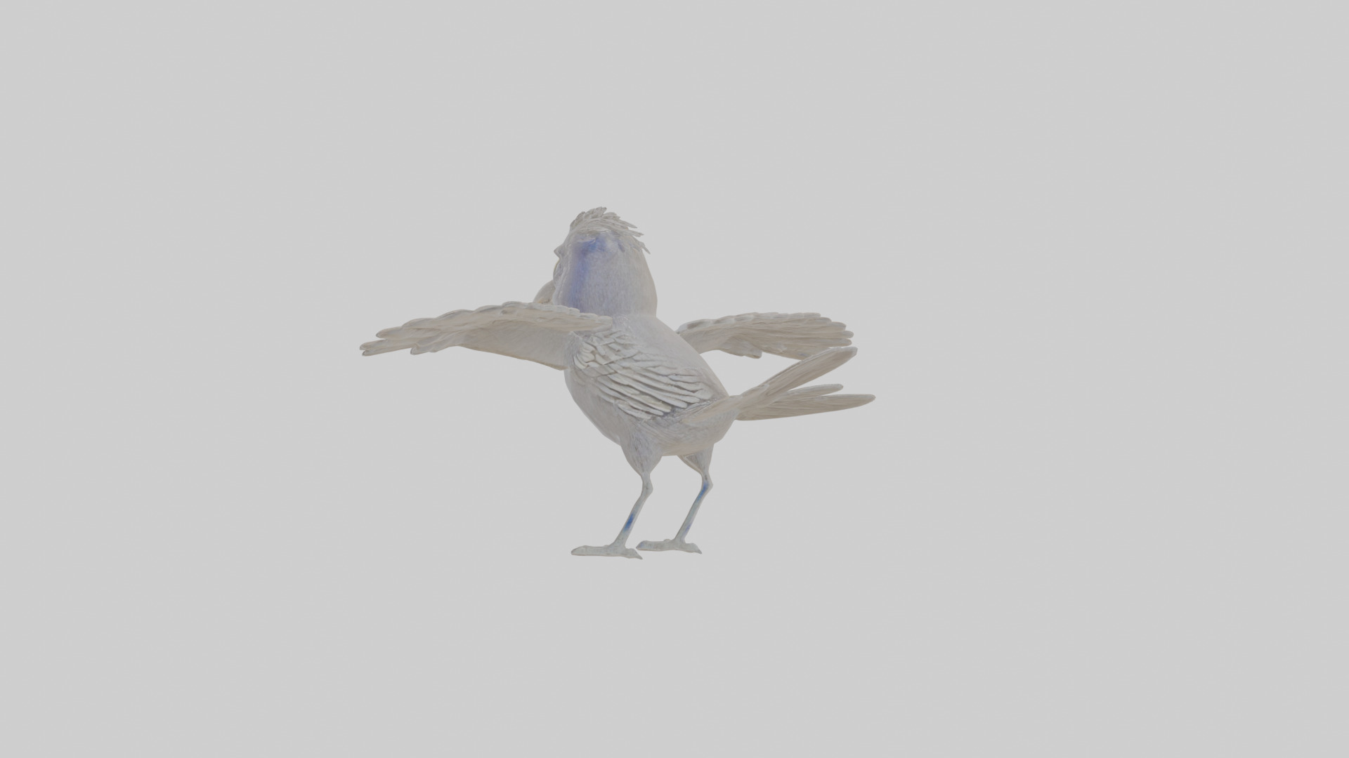 Cartoon Grackle Low-poly 3D model_3