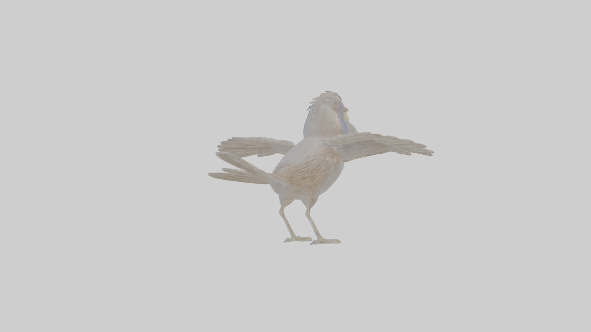 Cartoon Grackle Low-poly 3D model_4