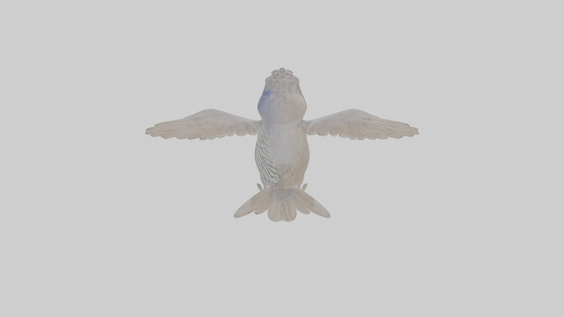 Cartoon Grackle Low-poly 3D model_25