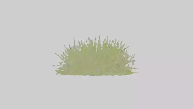 Cartoon Grass