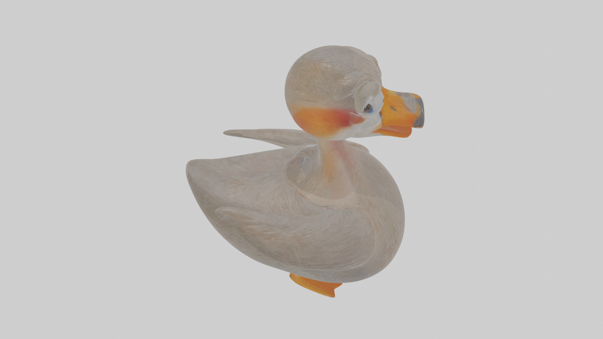 Cartoon Grebe Low-poly 3D model_28