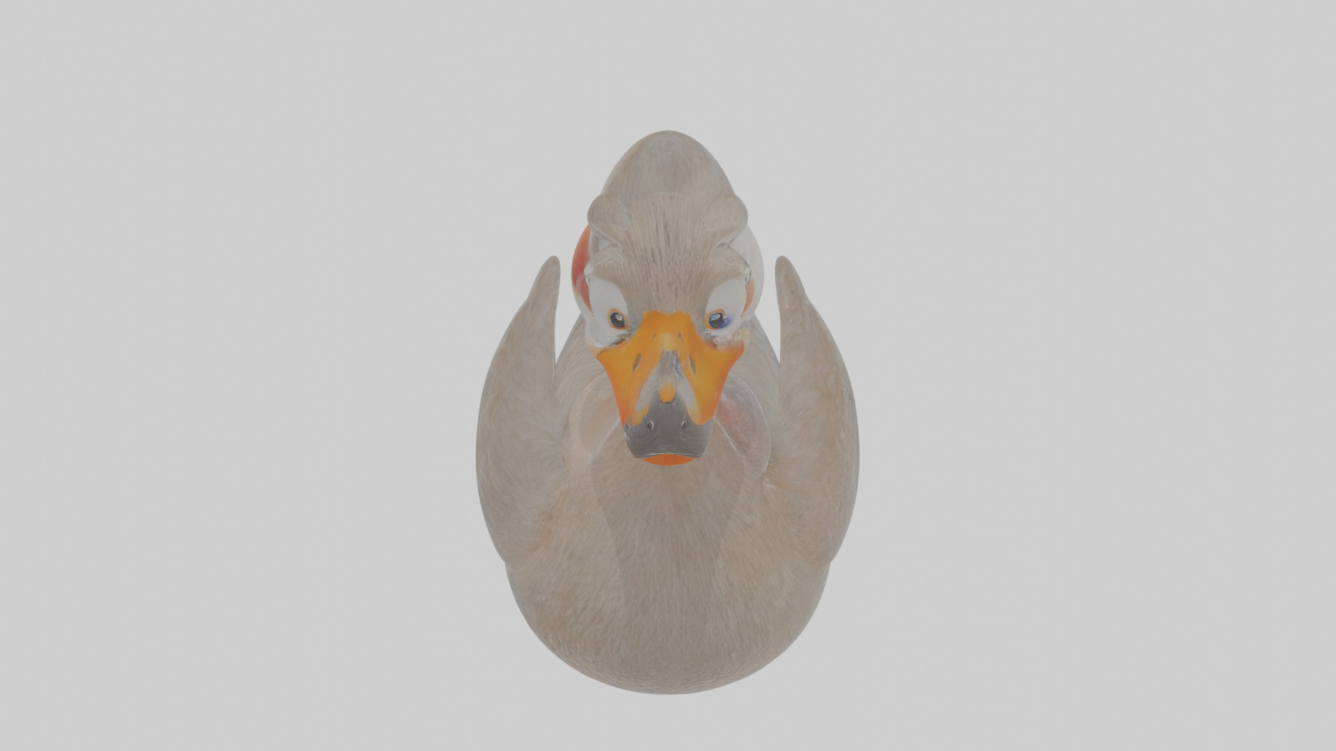 Cartoon Grebe Low-poly 3D model_25