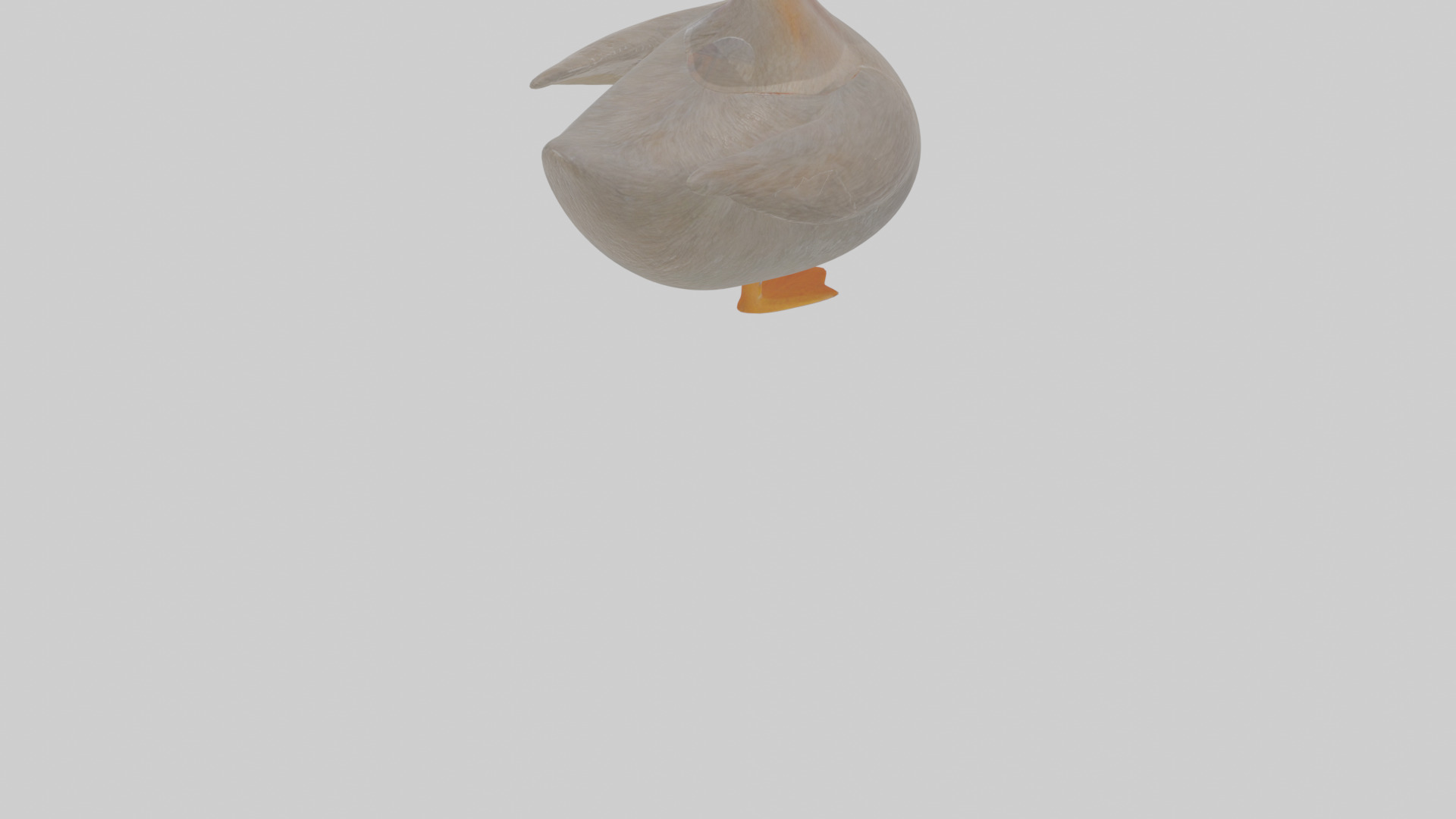 Cartoon Grebe Low-poly 3D model_6