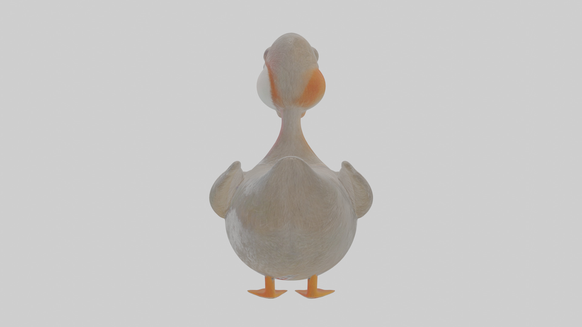 Cartoon Grebe Low-poly 3D model_1