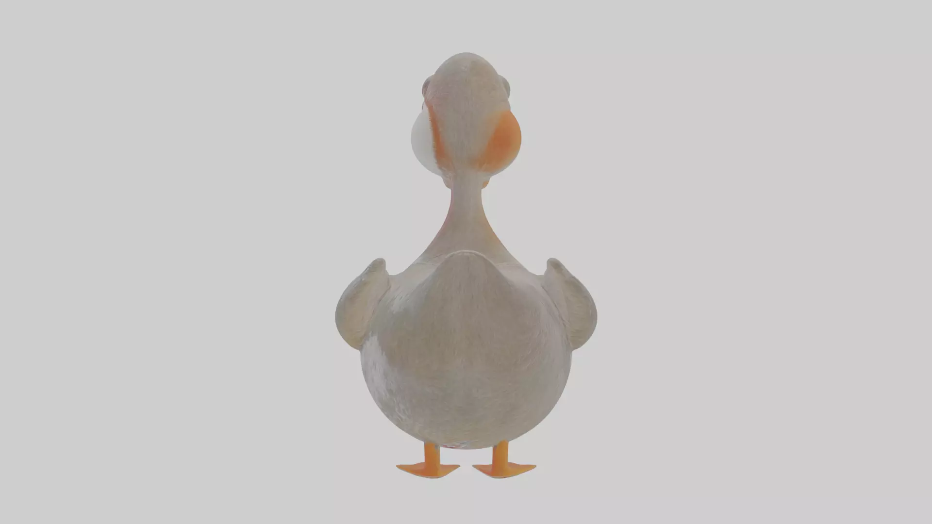 Cartoon Grebe Low-poly 3D model_0