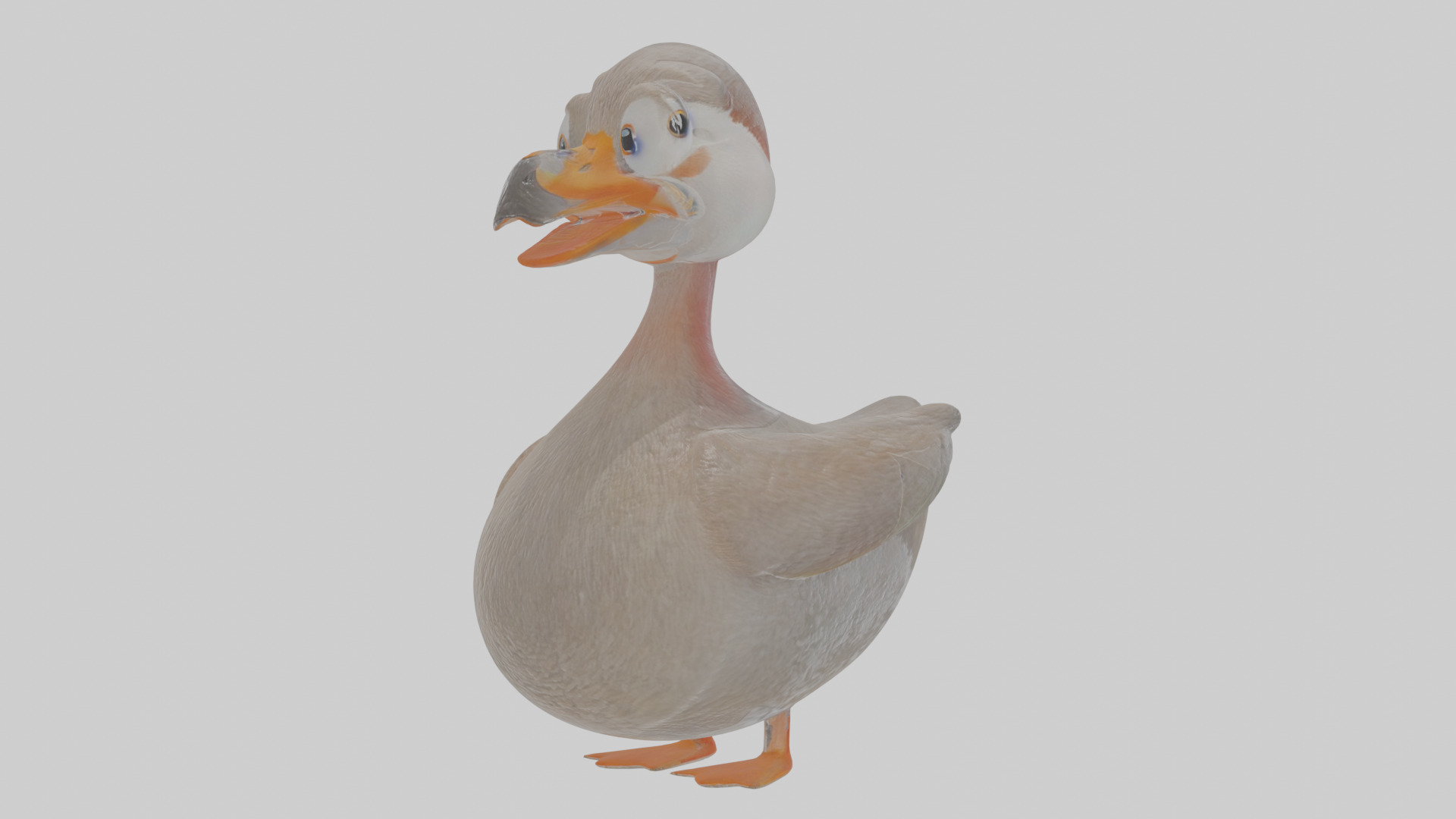 Cartoon Grebe Low-poly 3D model_15