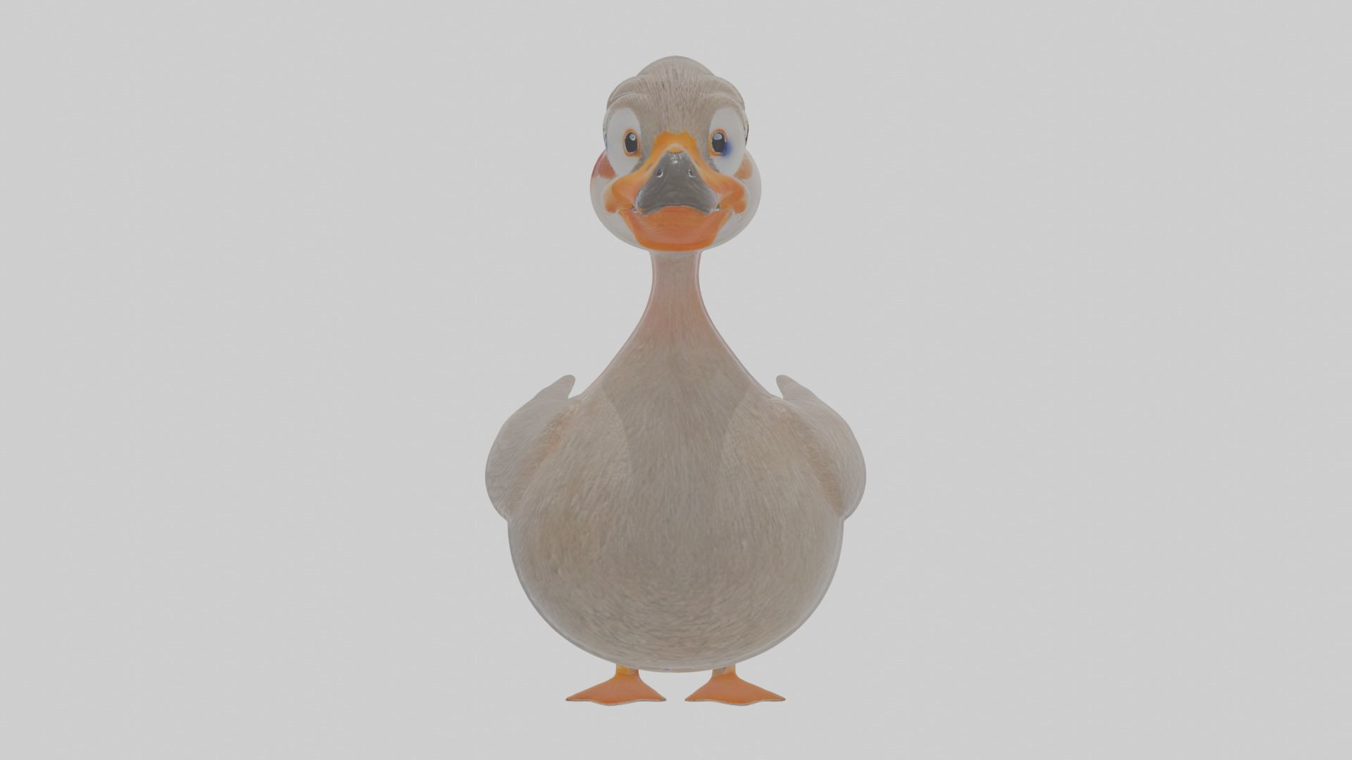 Cartoon Grebe Low-poly 3D model_14