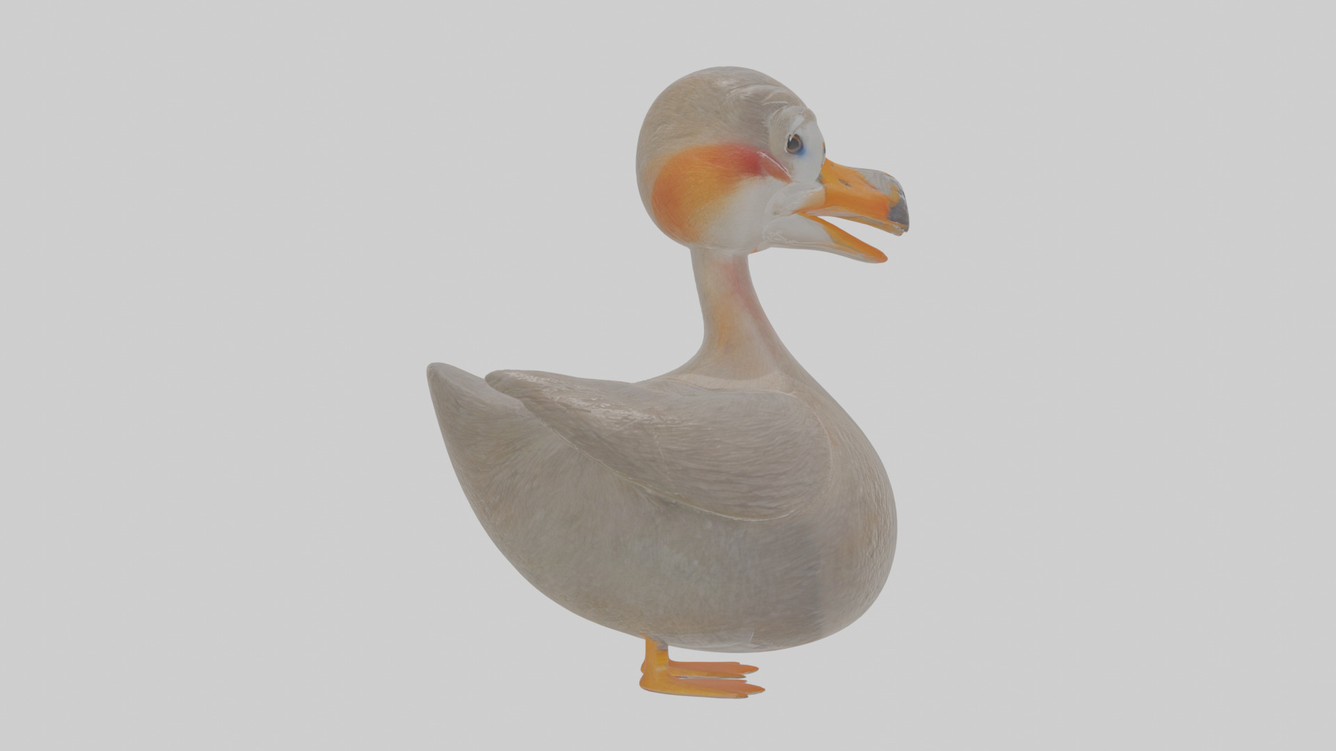 Cartoon Grebe Low-poly 3D model_20