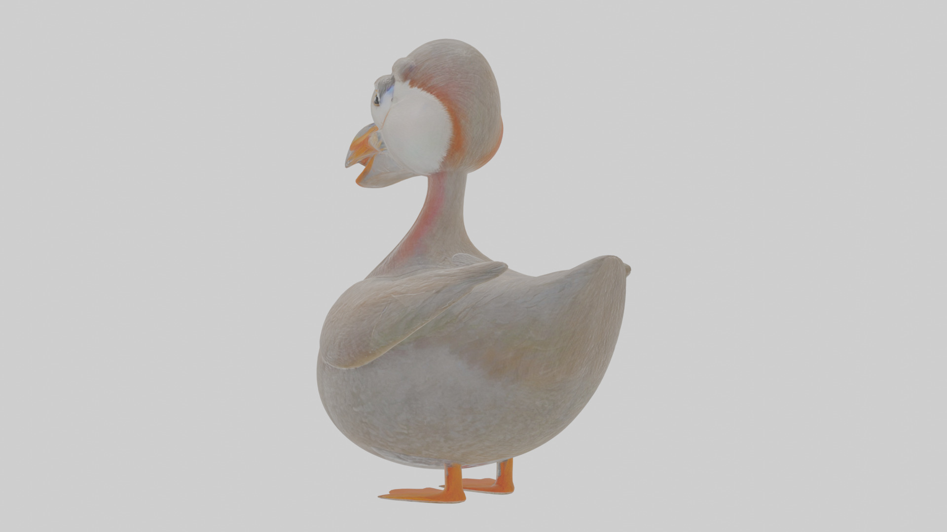 Cartoon Grebe Low-poly 3D model_2
