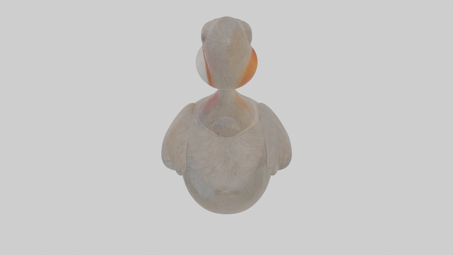 Cartoon Grebe Low-poly 3D model_24