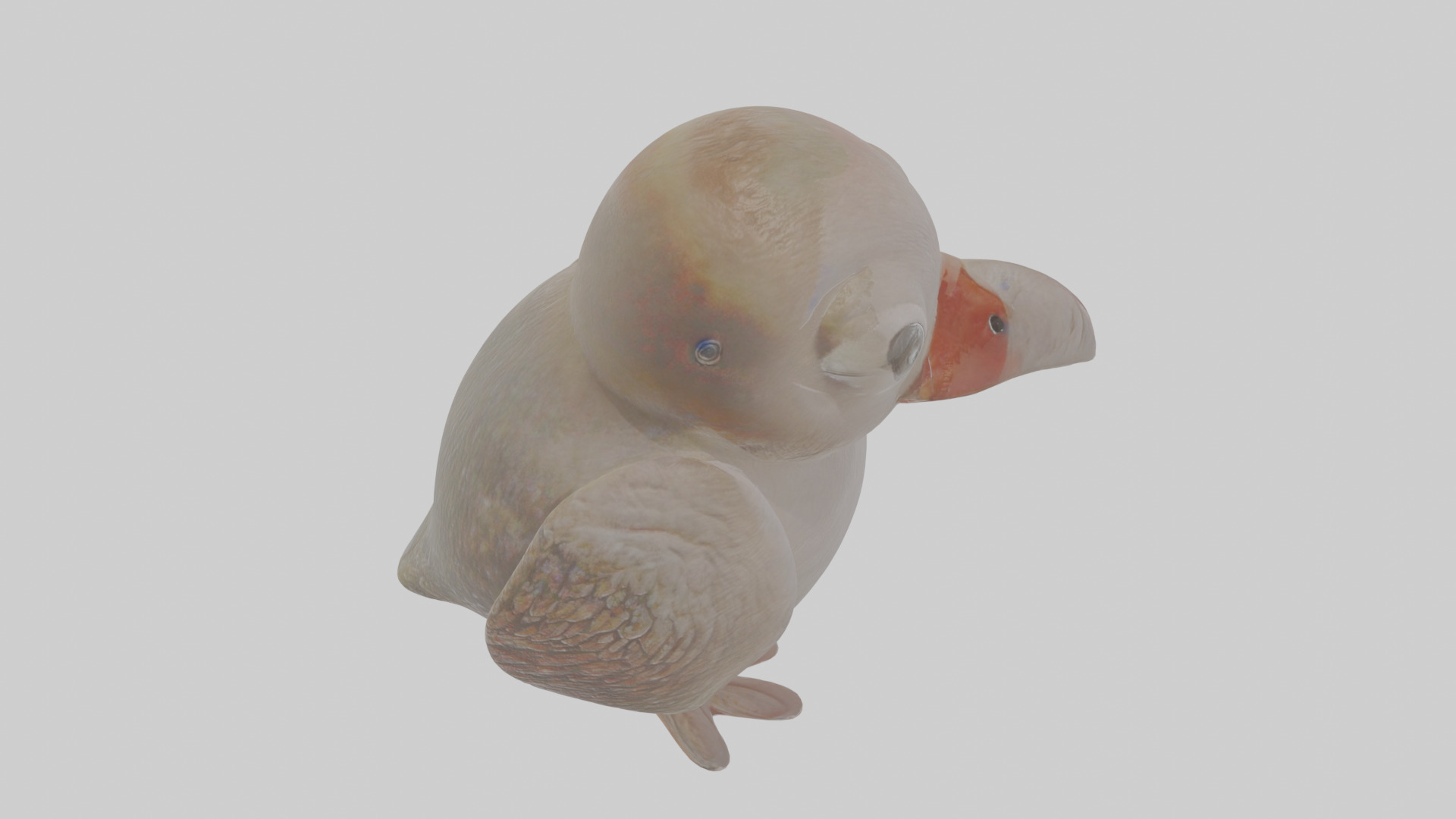 Cartoon Guillemot Low-poly 3D model_28