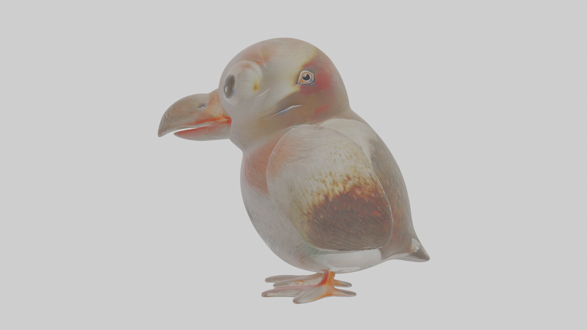 Cartoon Guillemot Low-poly 3D model_17