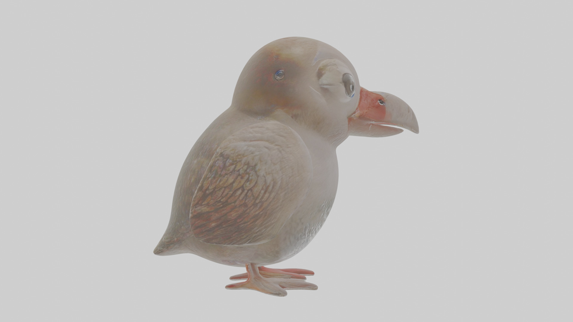 Cartoon Guillemot Low-poly 3D model_19