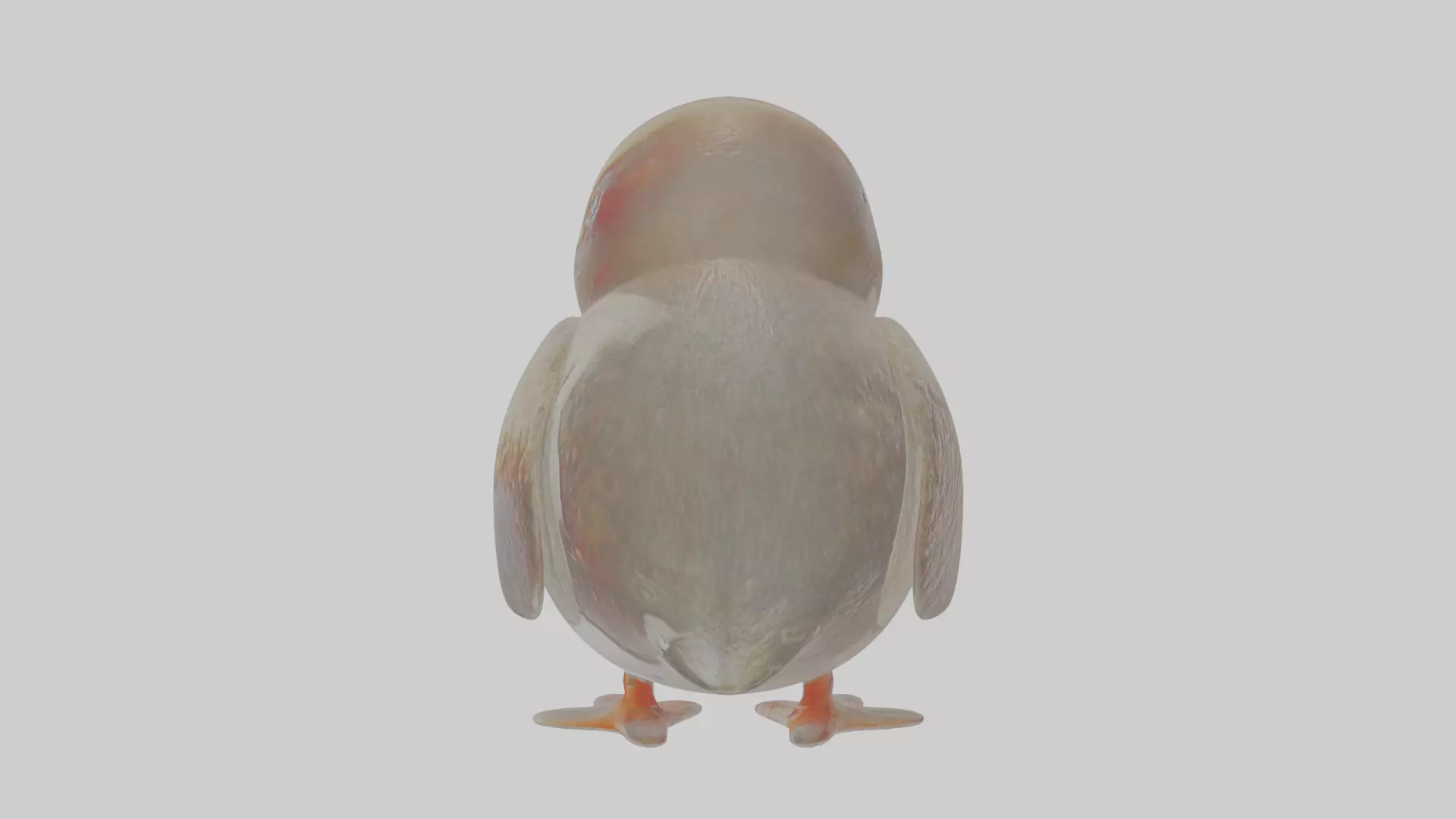 Cartoon Guillemot Low-poly 3D model_0