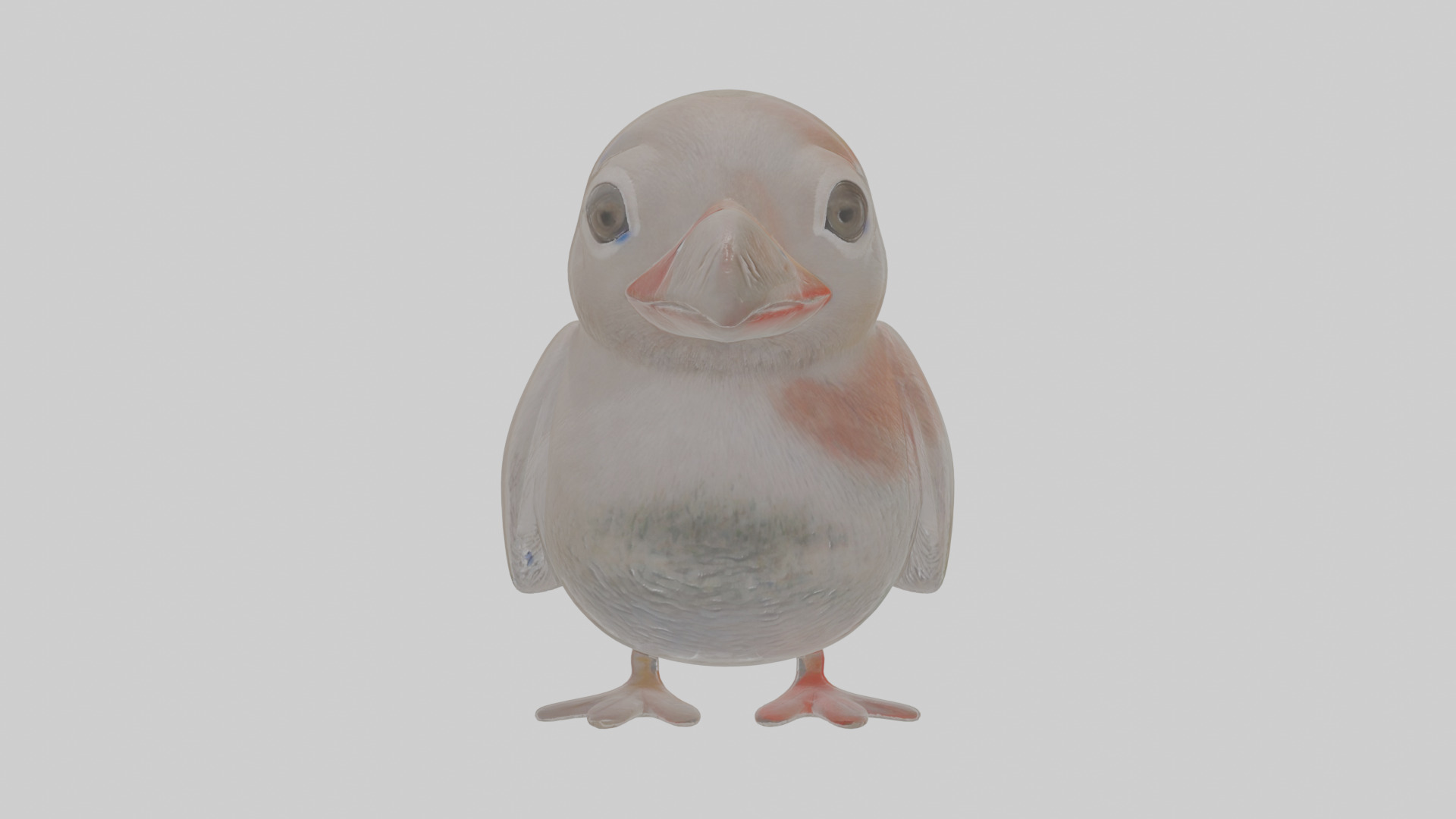 Cartoon Guillemot Low-poly 3D model_11