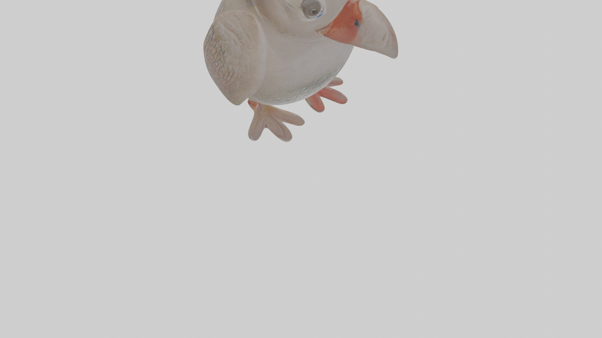 Cartoon Guillemot Low-poly 3D model_8
