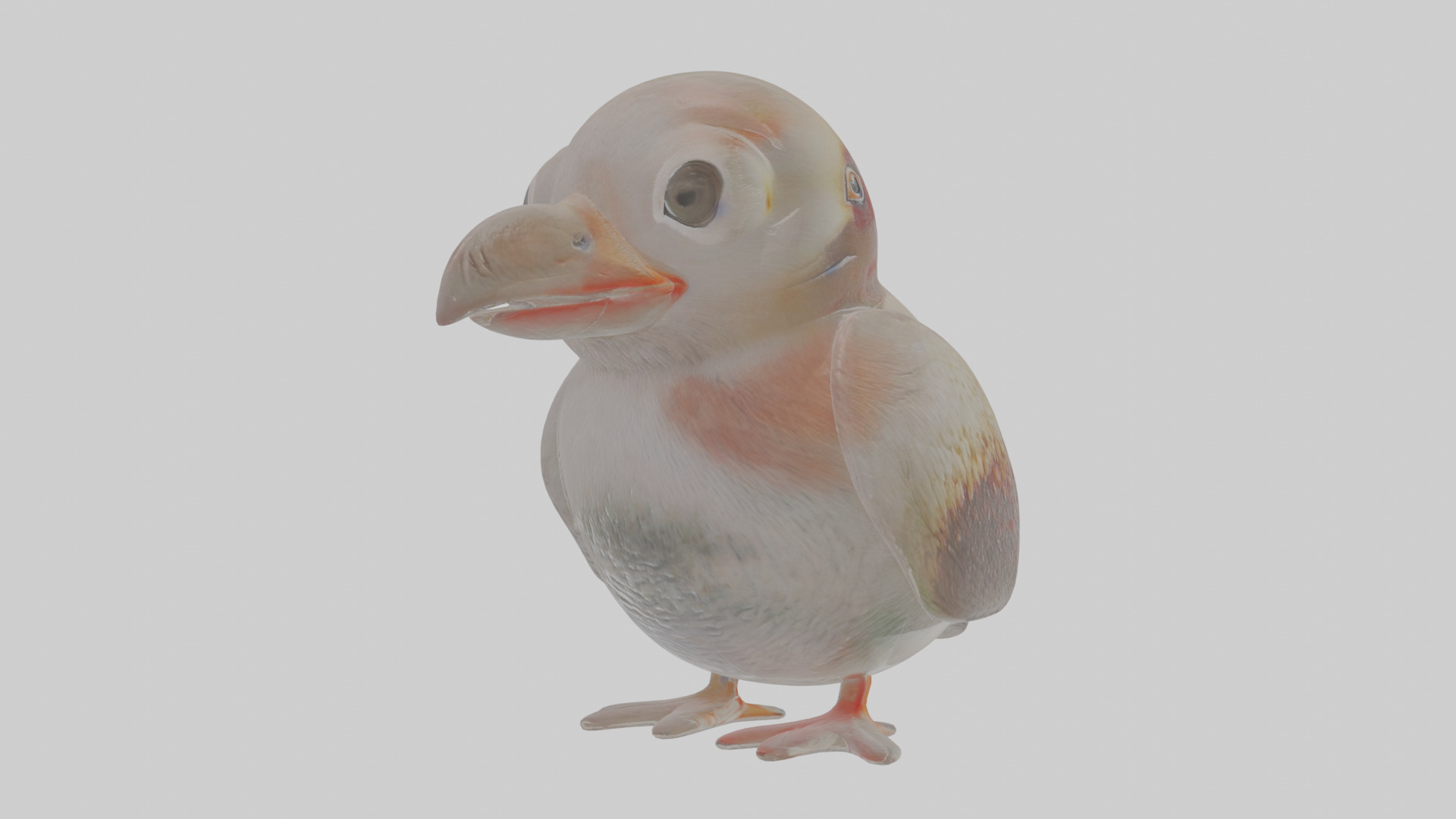 Cartoon Guillemot Low-poly 3D model_10