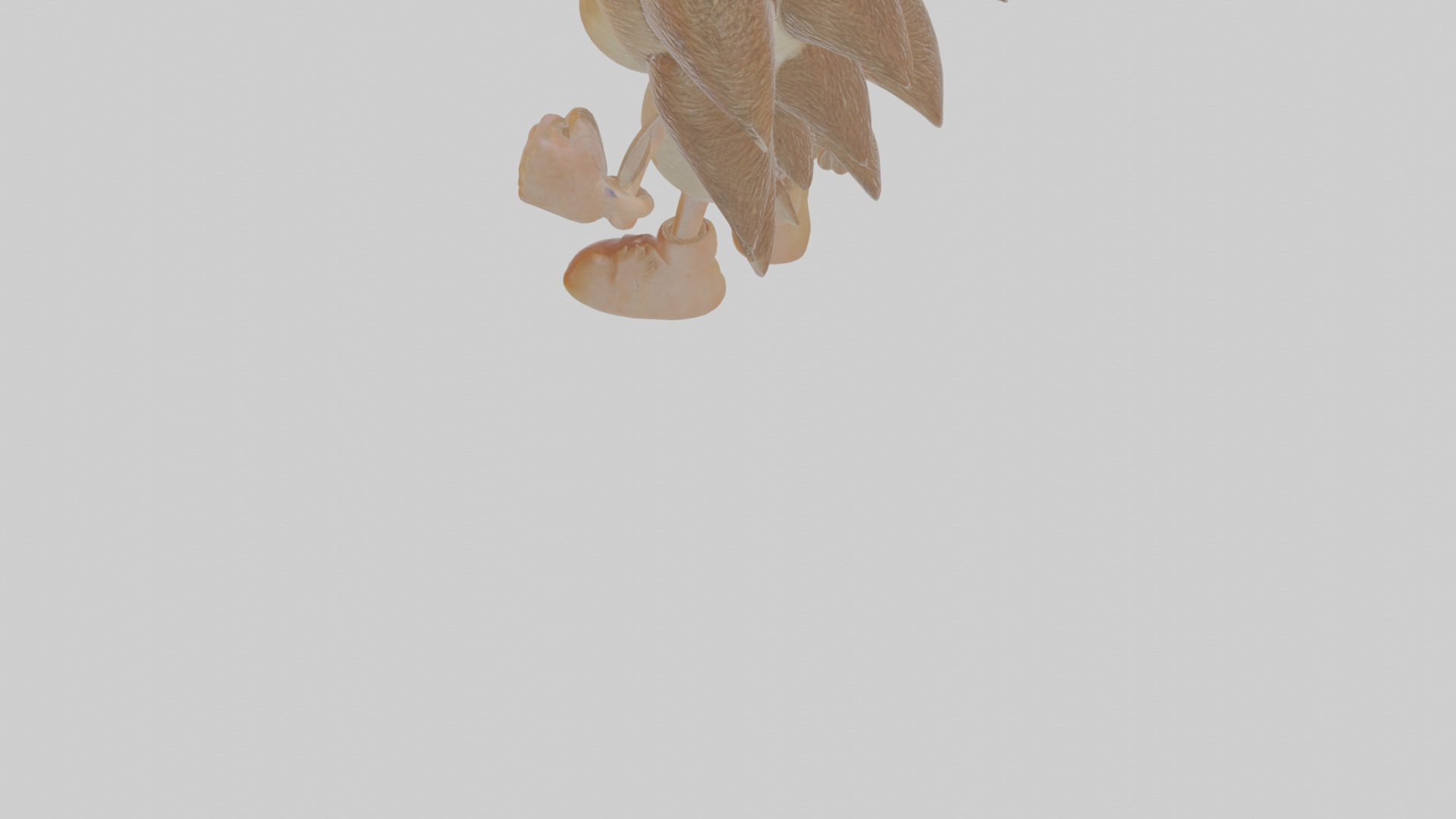 Cartoon Hedgehog Low-poly 3D model_4