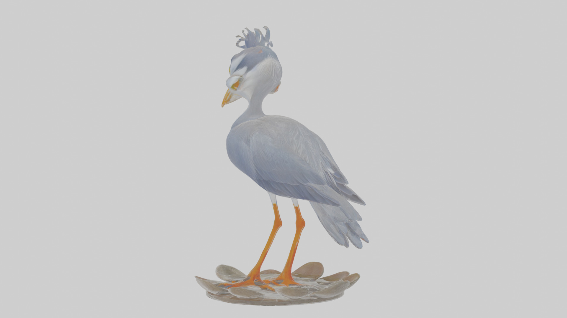 Cartoon Heron Low-poly 3D model_1