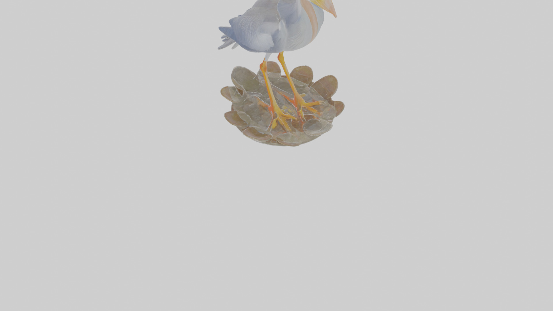 Cartoon Heron Low-poly 3D model_8