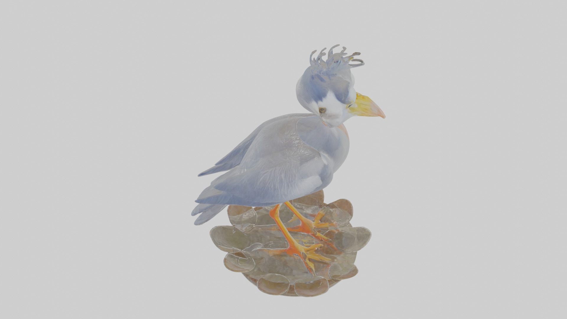 Cartoon Heron Low-poly 3D model_27