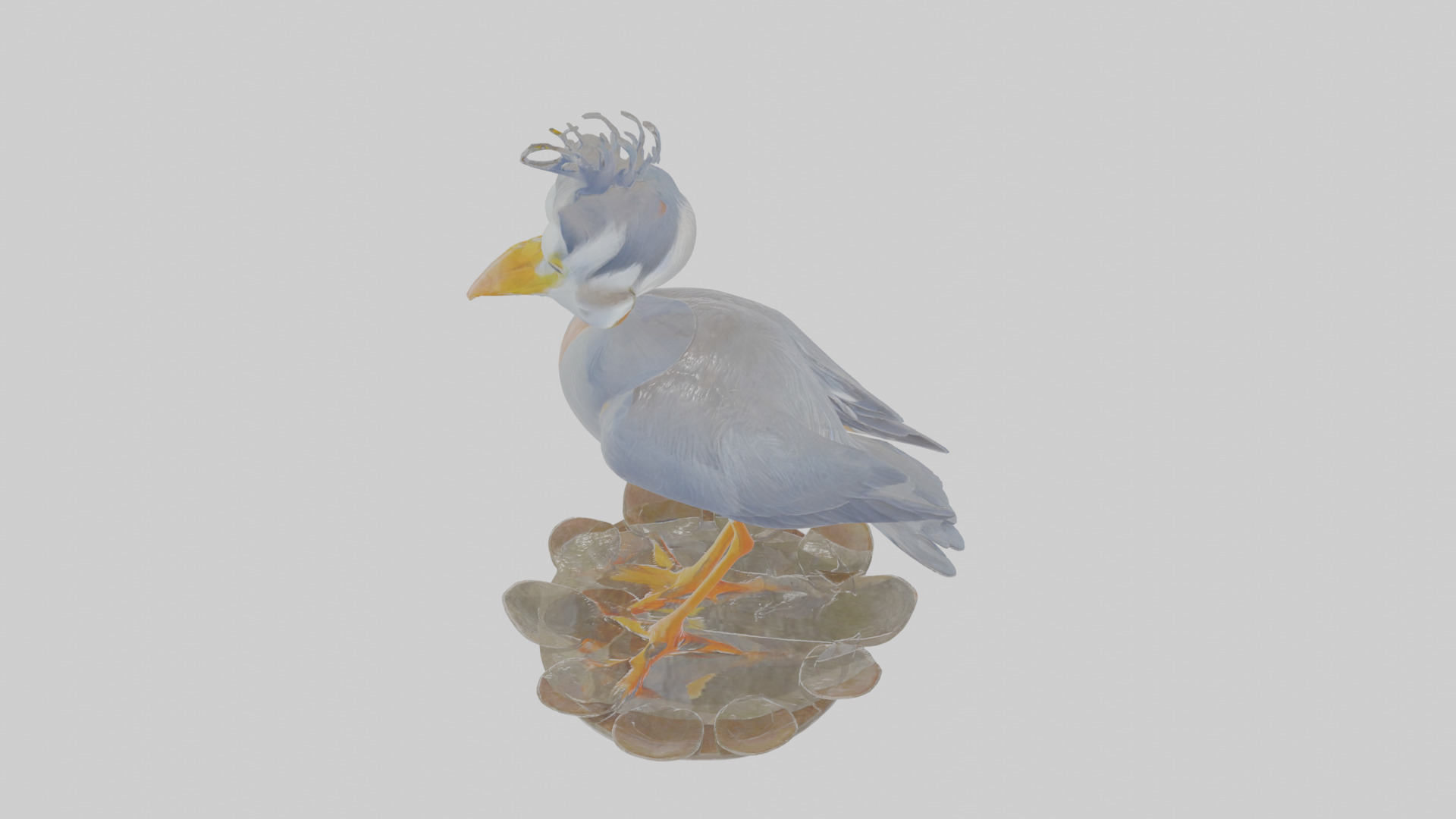 Cartoon Heron Low-poly 3D model_26