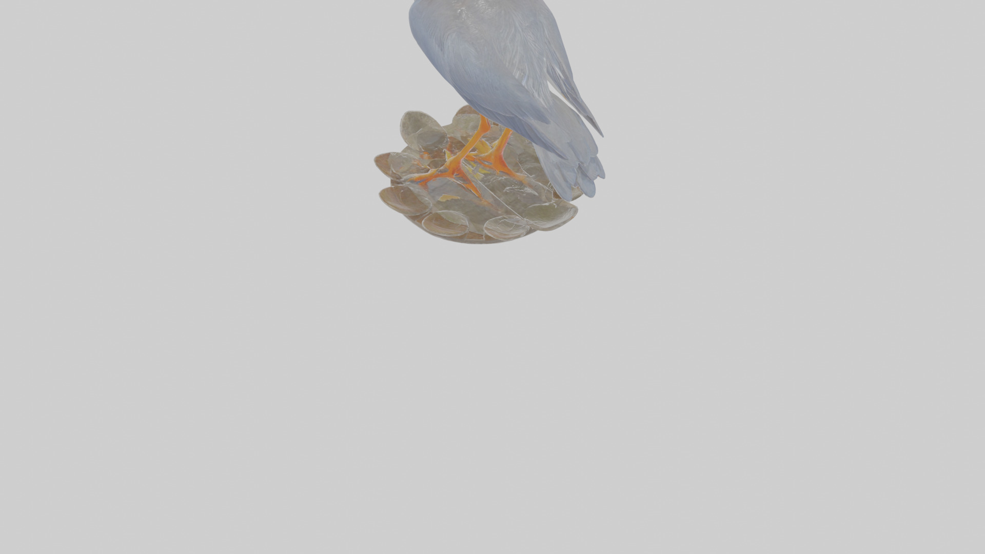 Cartoon Heron Low-poly 3D model_4