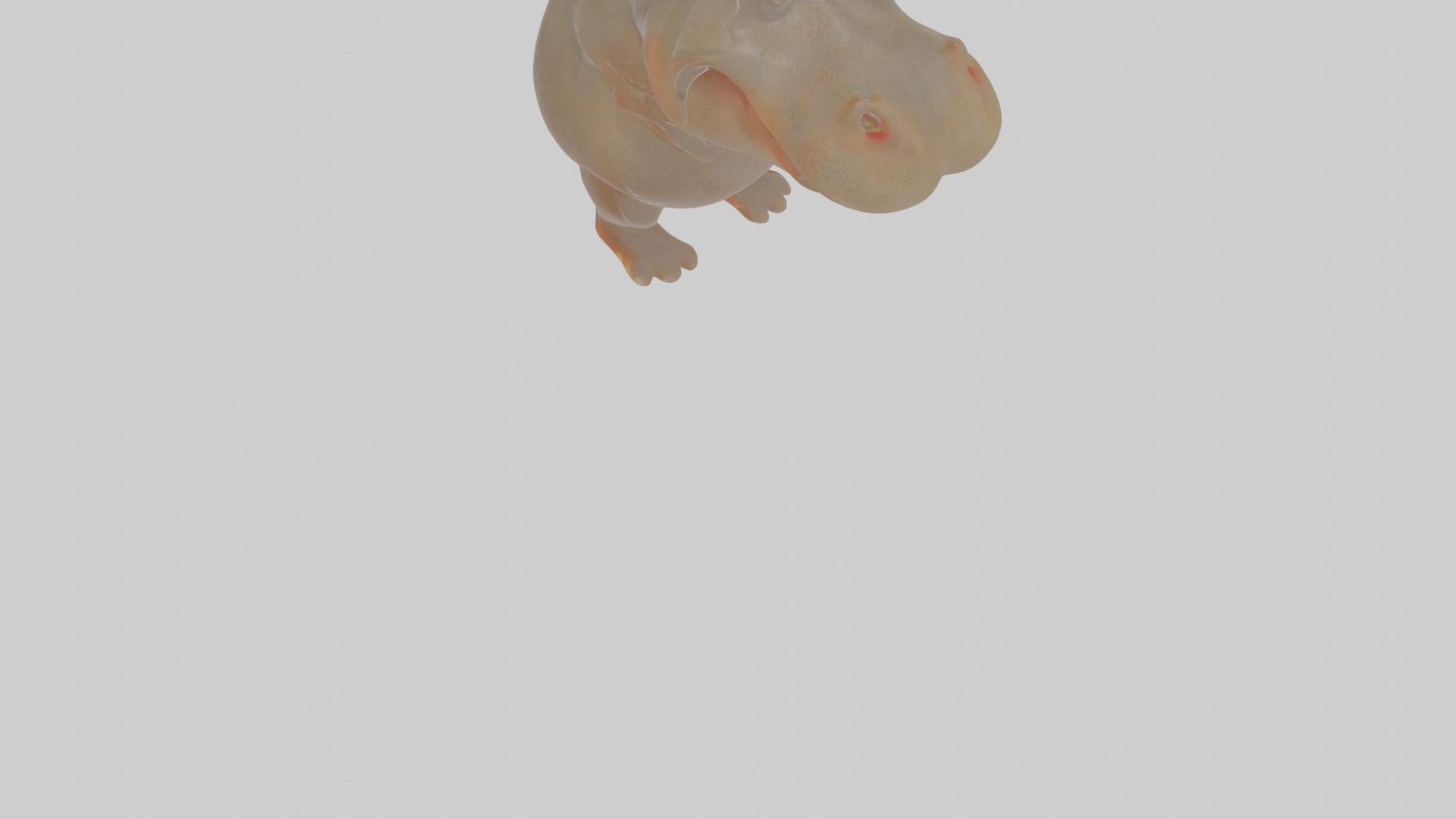 Cartoon Hippopotamus Low-poly 3D model_11