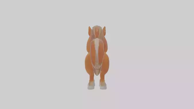Cartoon Horse
