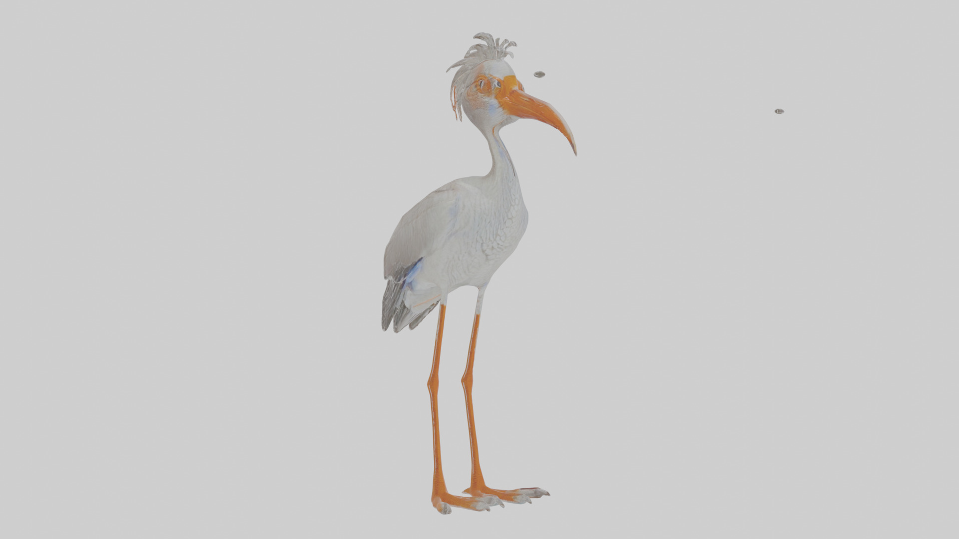 Cartoon Ibis Low-poly 3D model_18