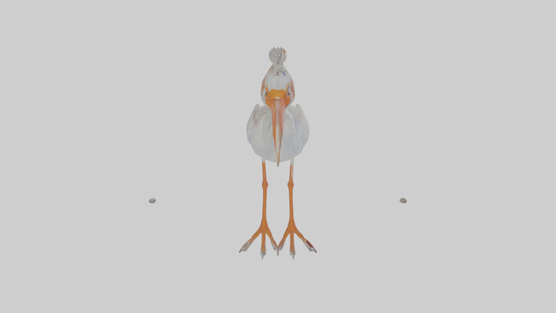 Cartoon Ibis Low-poly 3D model_25