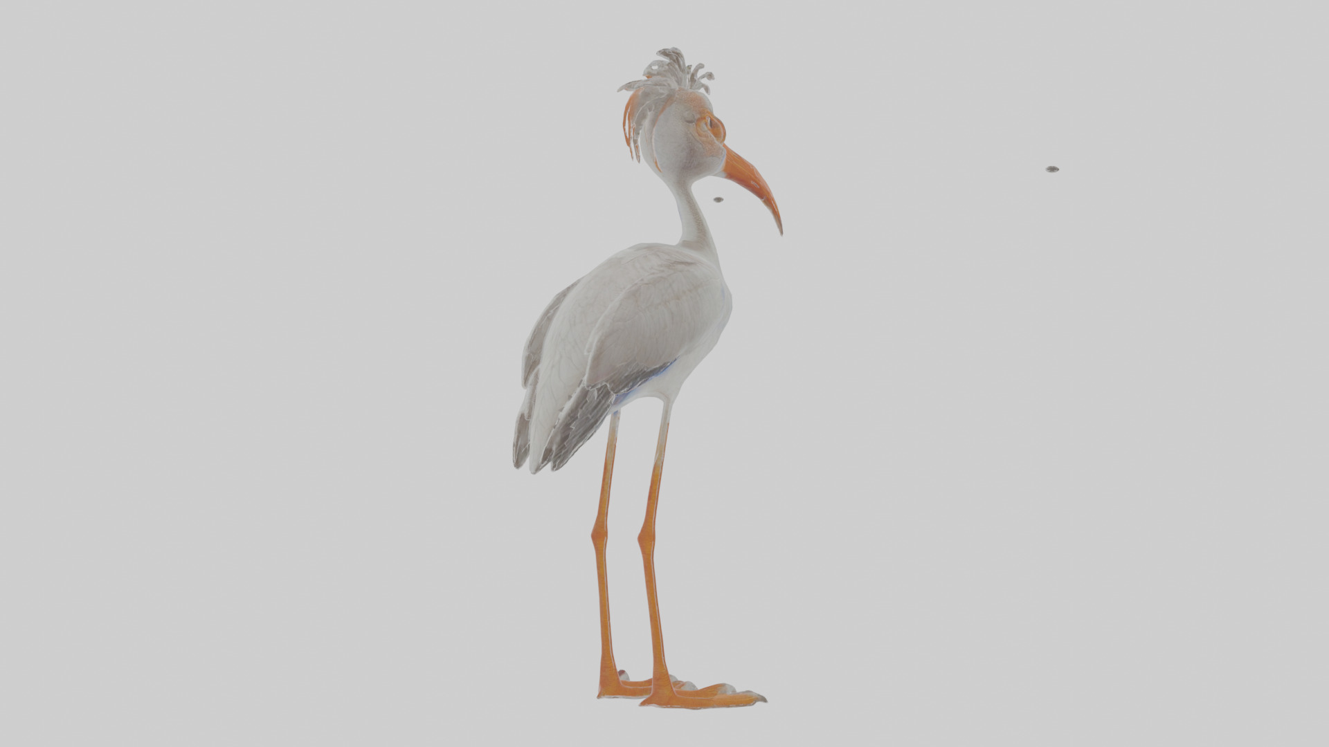 Cartoon Ibis Low-poly 3D model_5