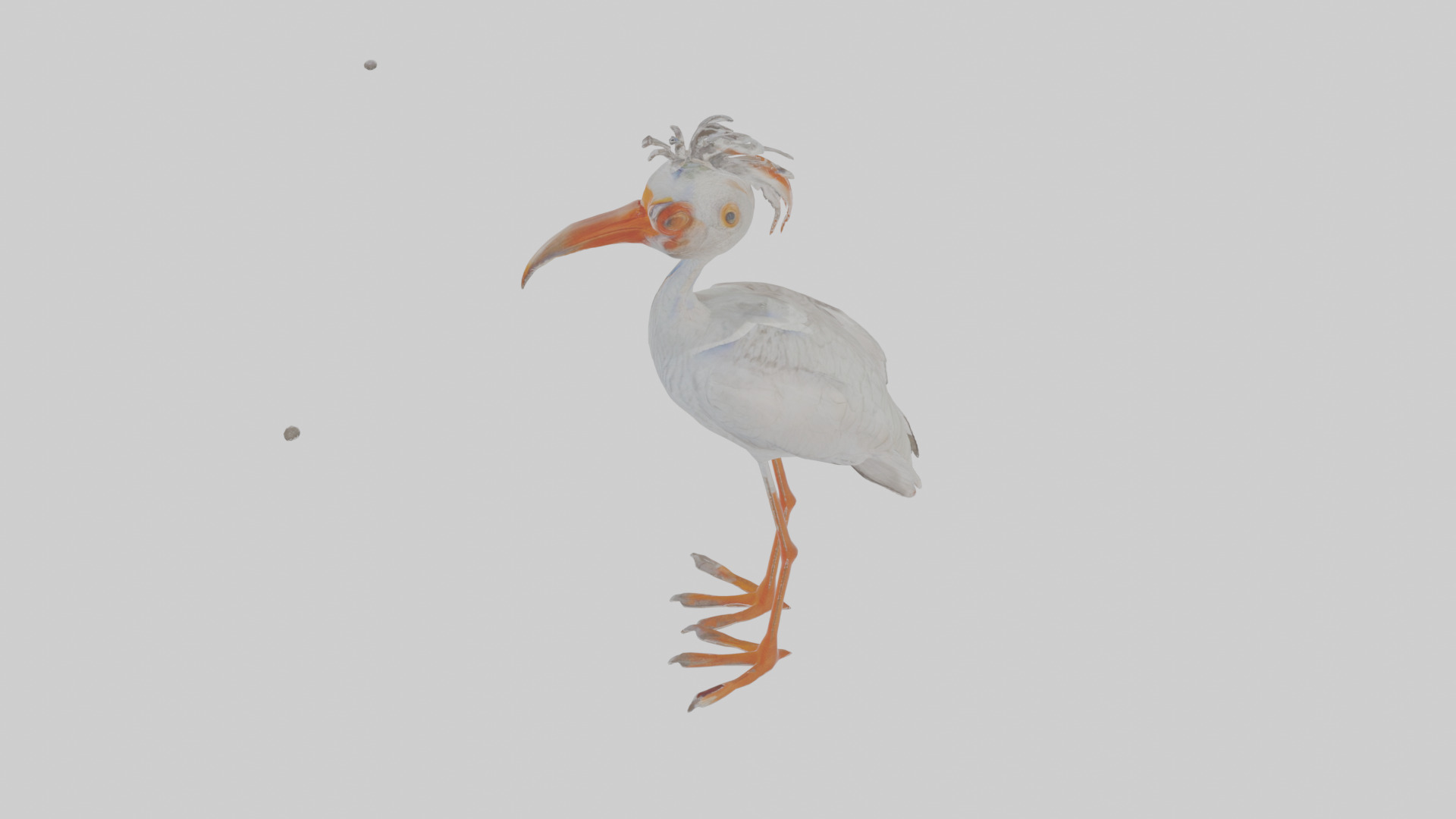 Cartoon Ibis Low-poly 3D model_26