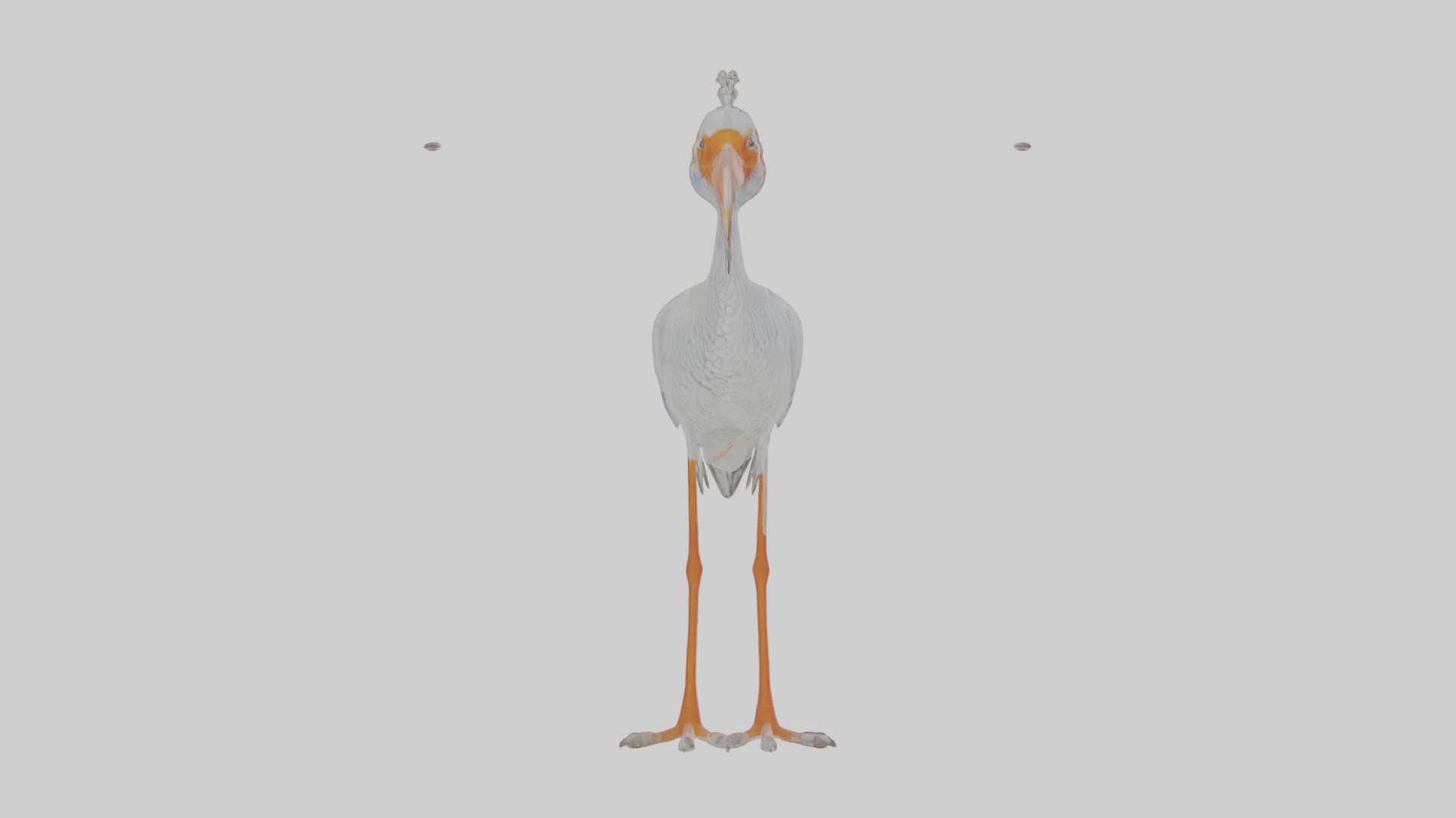 Cartoon Ibis Low-poly 3D model_15