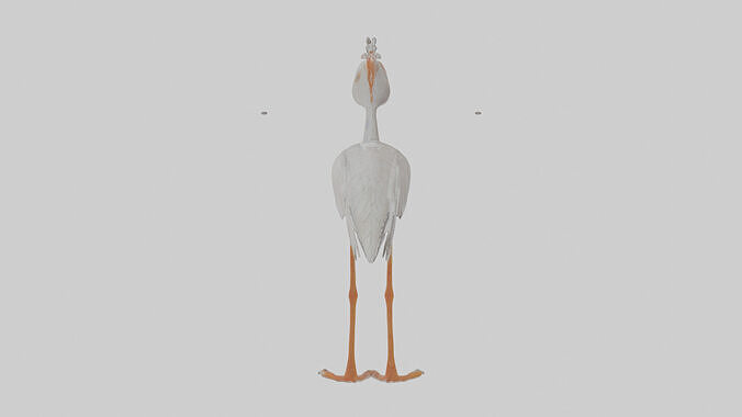 Cartoon Ibis Low-poly 3D model
