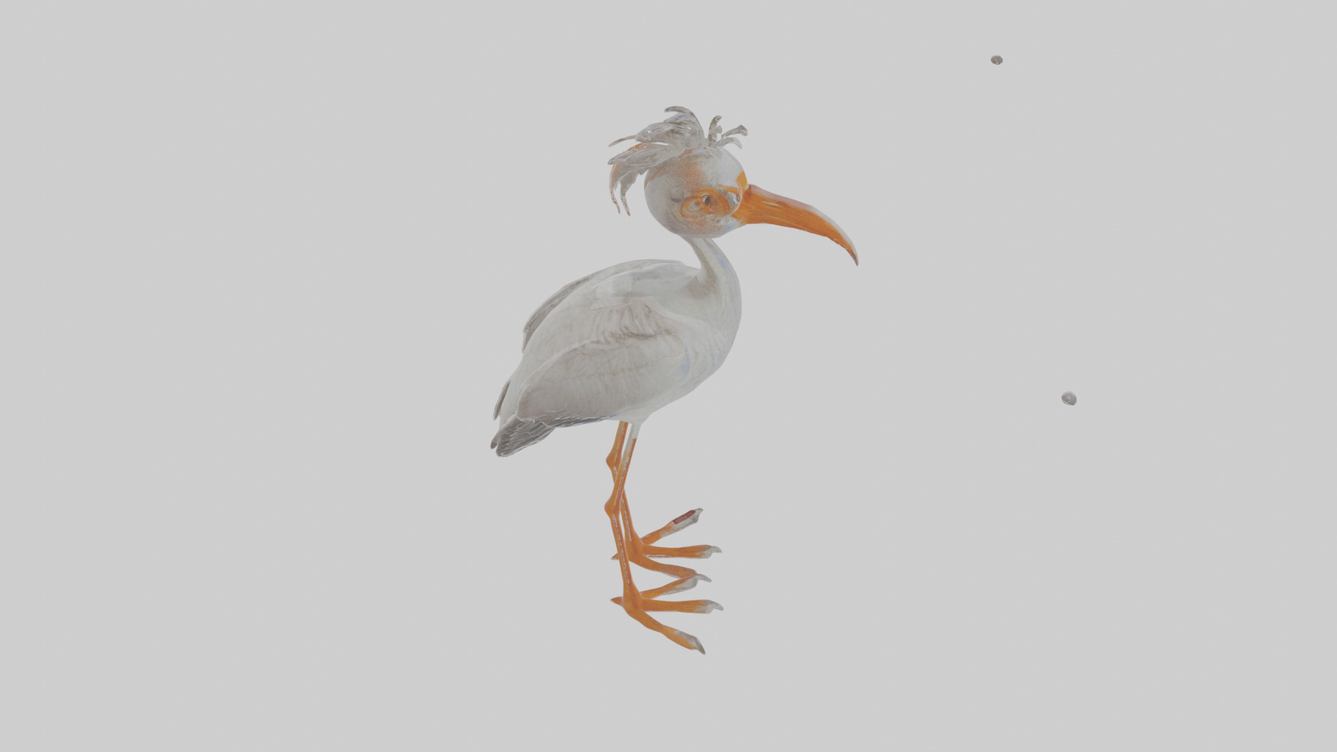 Cartoon Ibis Low-poly 3D model_27