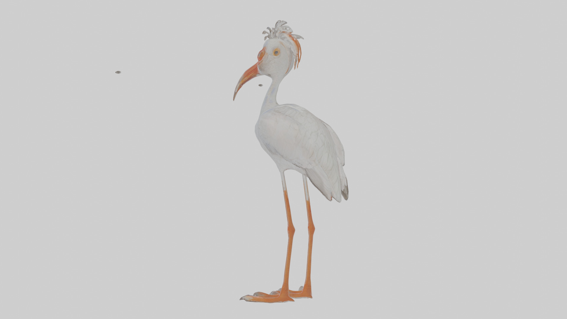 Cartoon Ibis Low-poly 3D model_2