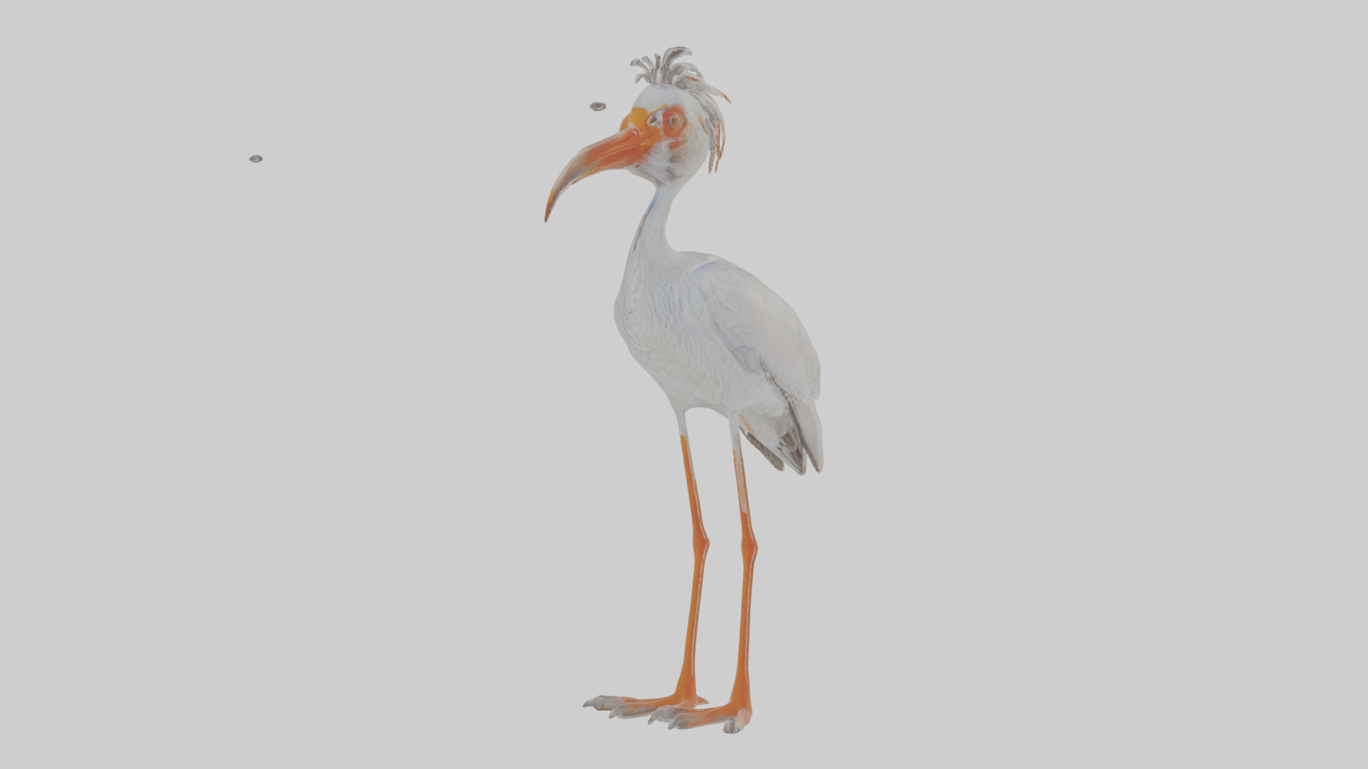 Cartoon Ibis Low-poly 3D model_14