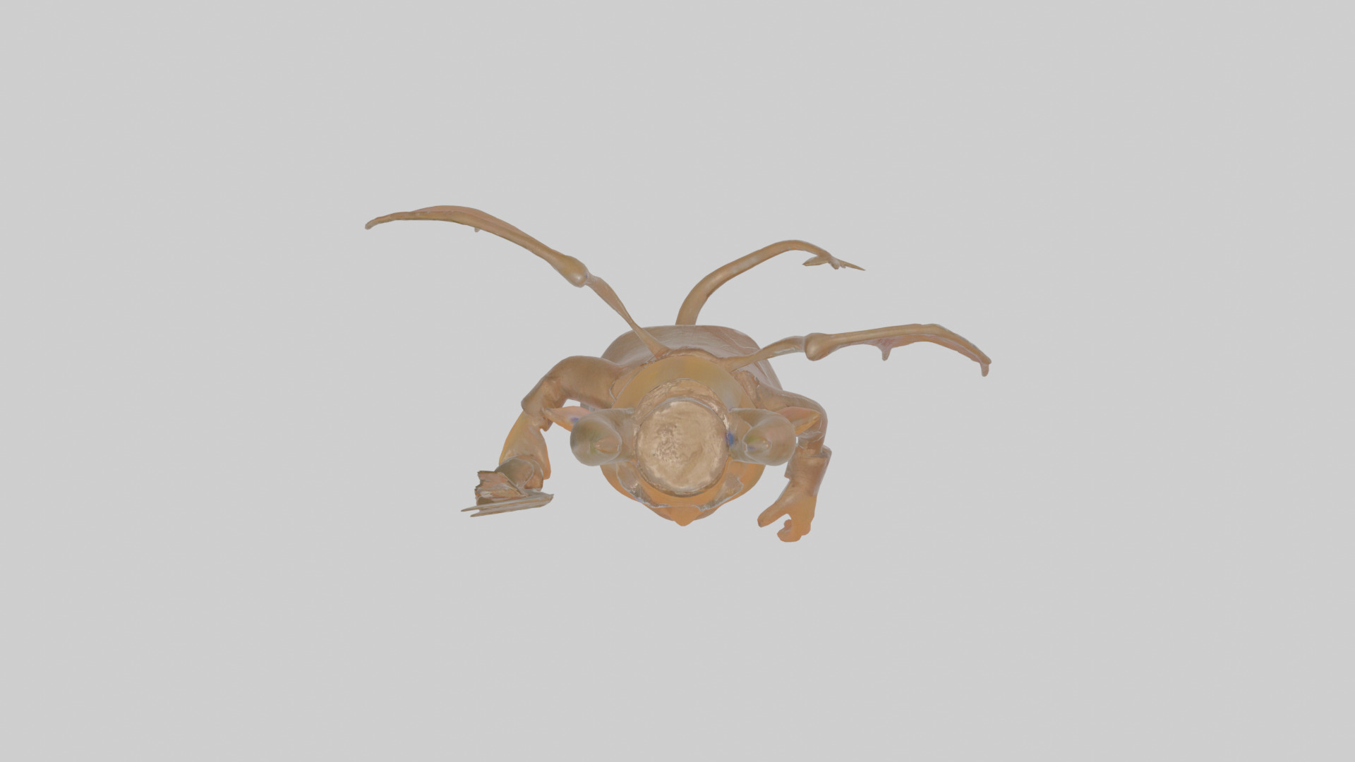 Cartoon Ignatius the Infernal Impresario Model Low-poly 3D model_21