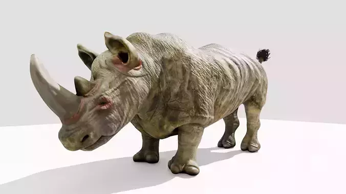 Rhino