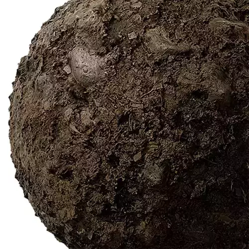 Soil Seamless Texture 2K - EXR 5 - JPG 5 Texture 