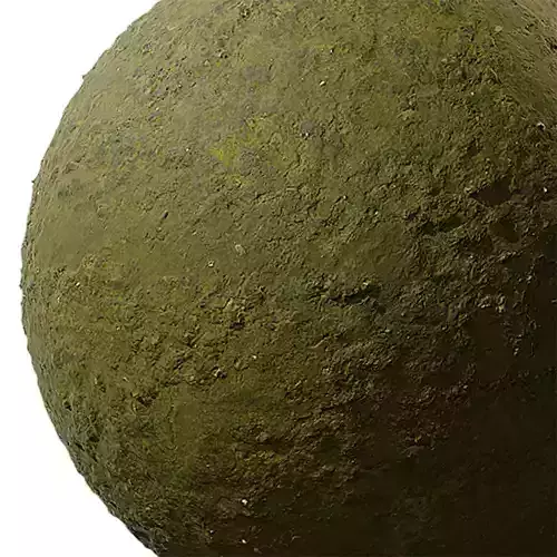 Soil Seamless Texture 2K - EXR 5 - JPG 5 Texture 