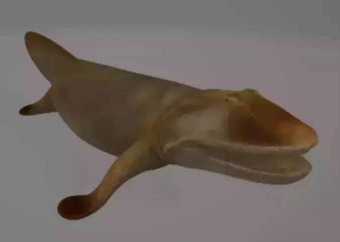 Tiktaalik