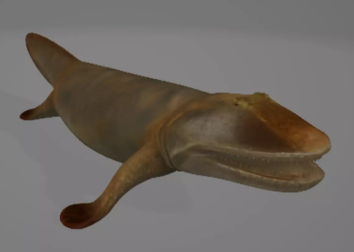 Tiktaalik 3D print model_0