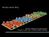 Free 3D Land Units Advance Wars Free low-poly 3D model_1