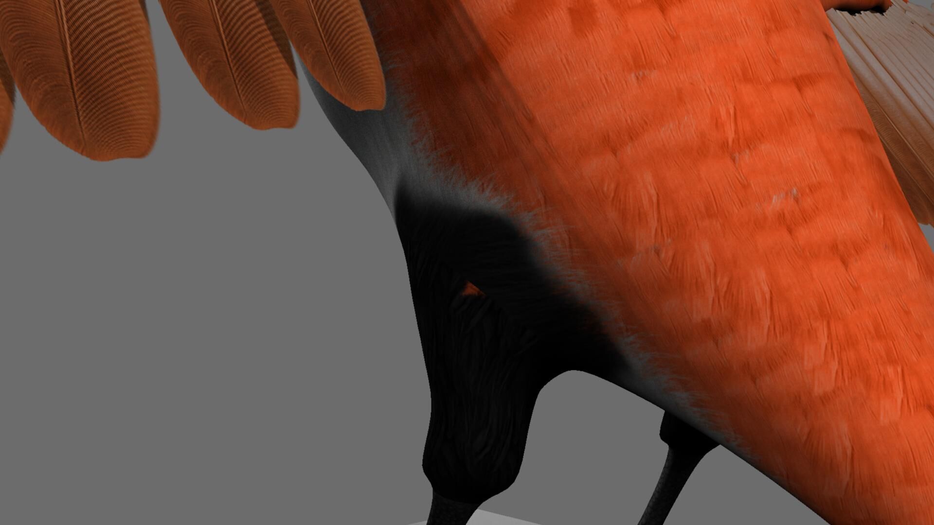 Munia Rigging and Animation 3D model_11