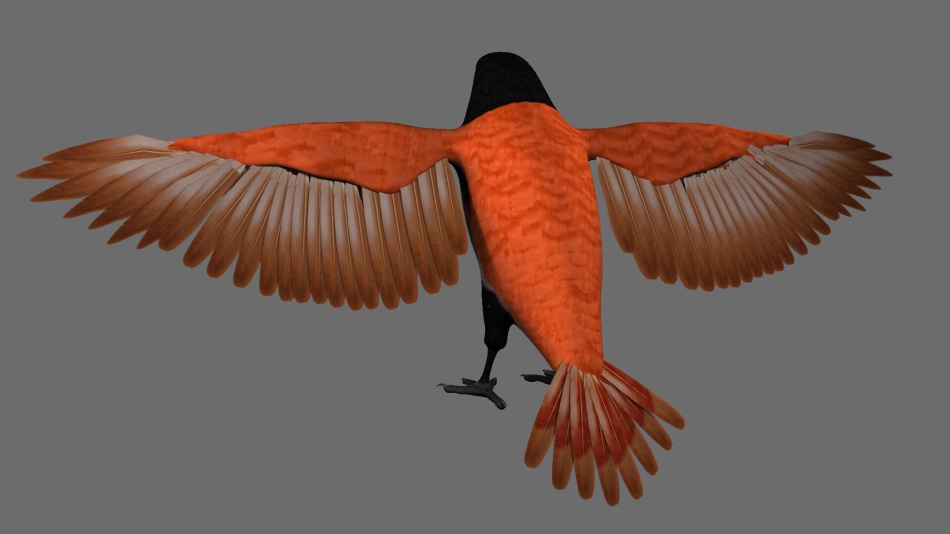 Munia Rigging and Animation 3D model_13