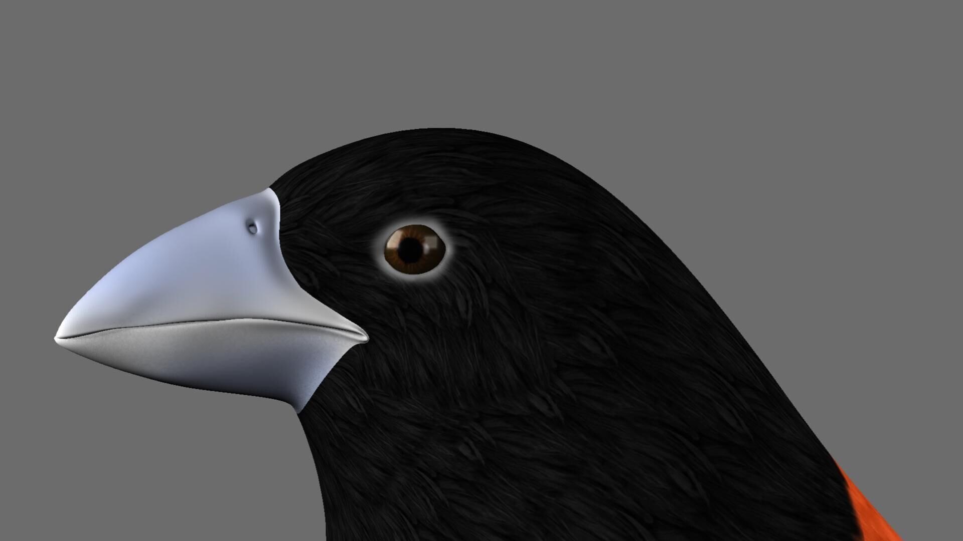 Munia Rigging and Animation 3D model_15